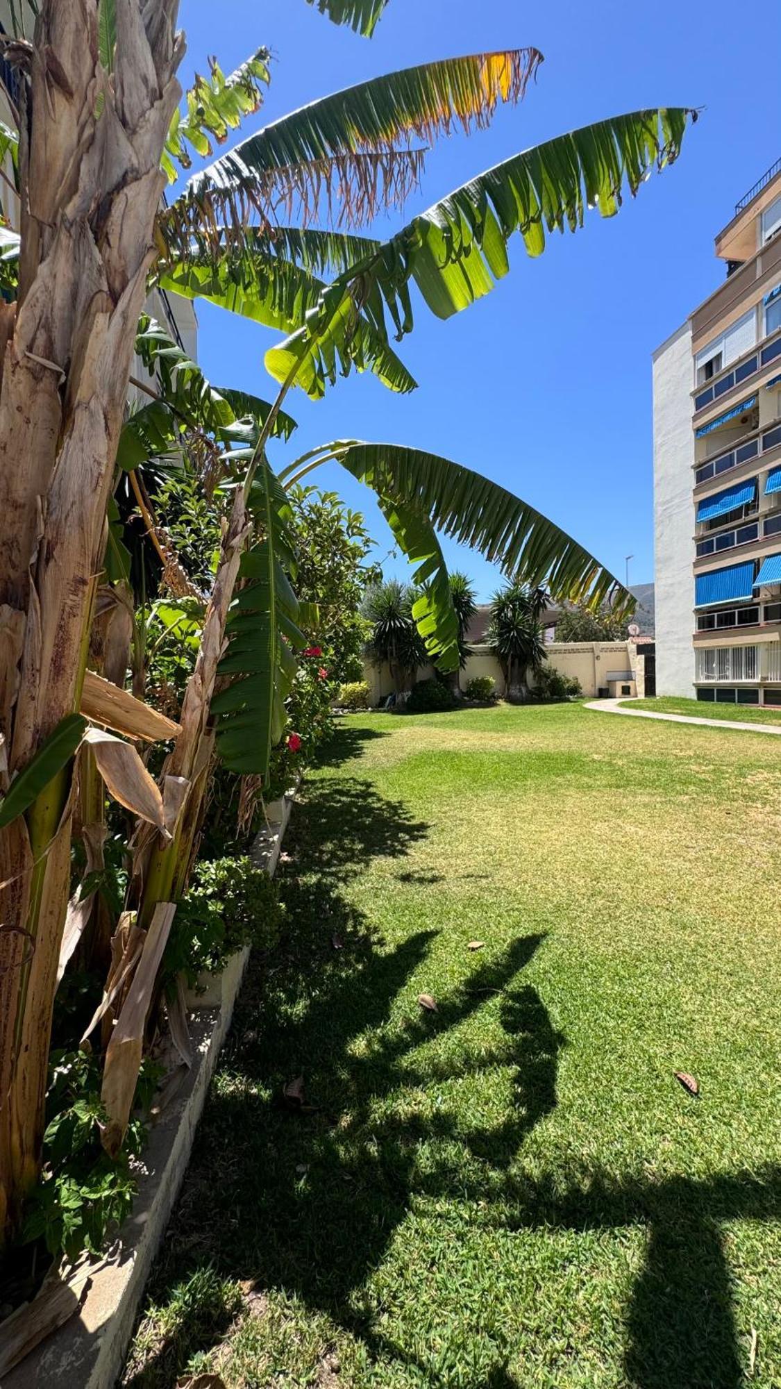 Cactus Stay Apartamento Torremolinos Dış mekan fotoğraf
